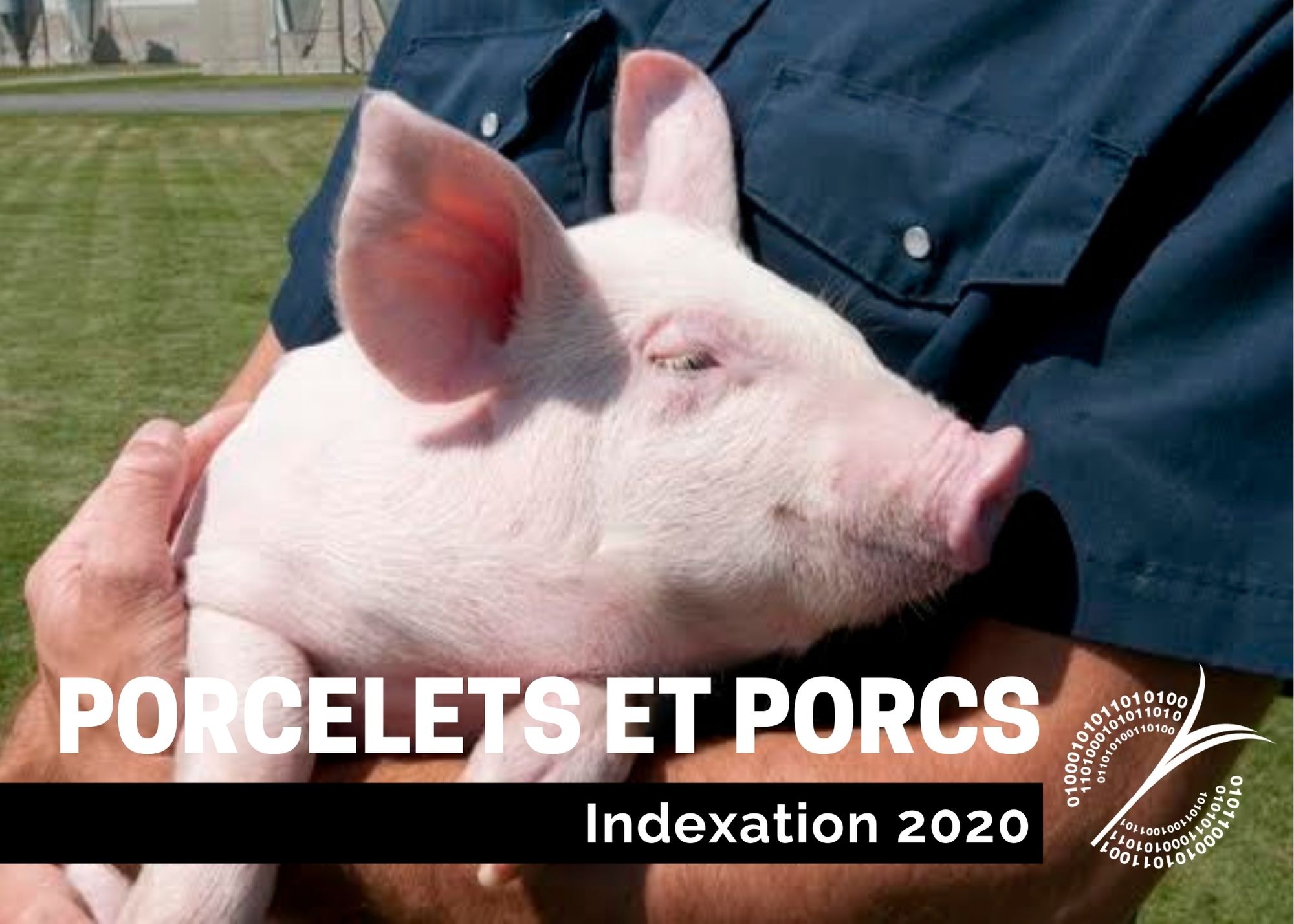 Études de coûts de production : INDEXATION 2020 - Porcelets et porcs